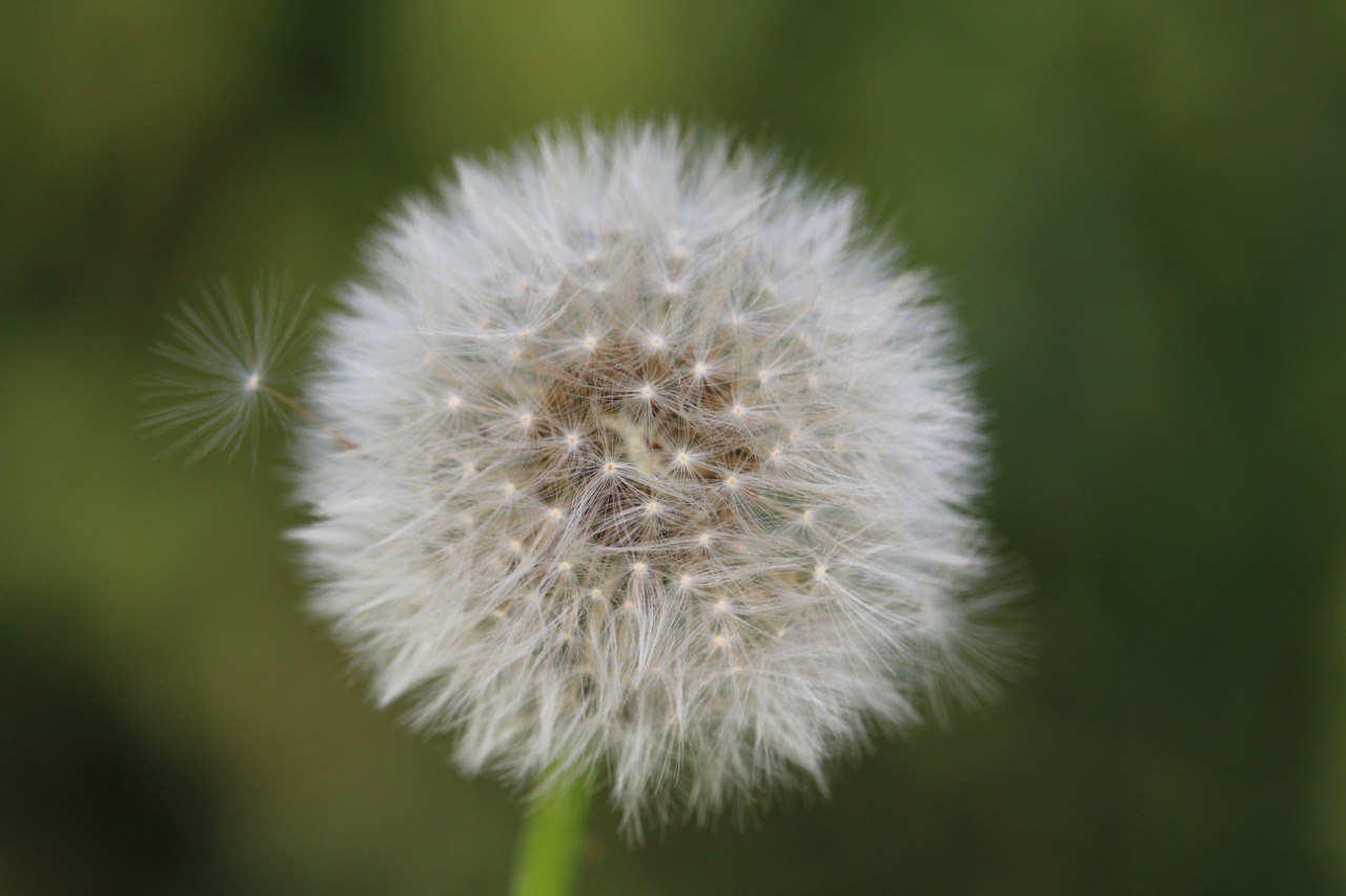 Ogni percorso è unico